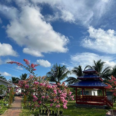 Shunde Palm Resort 仙本那顺德人家棕榈园 Bagian luar foto