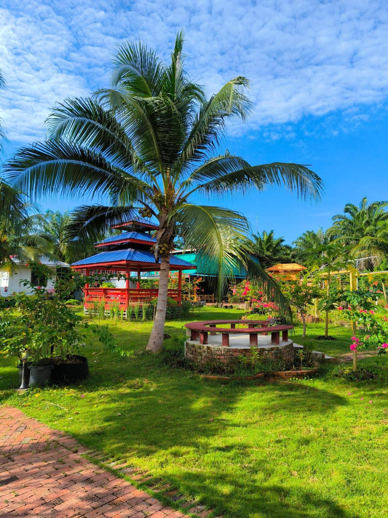 Shunde Palm Resort 仙本那顺德人家棕榈园 Bagian luar foto