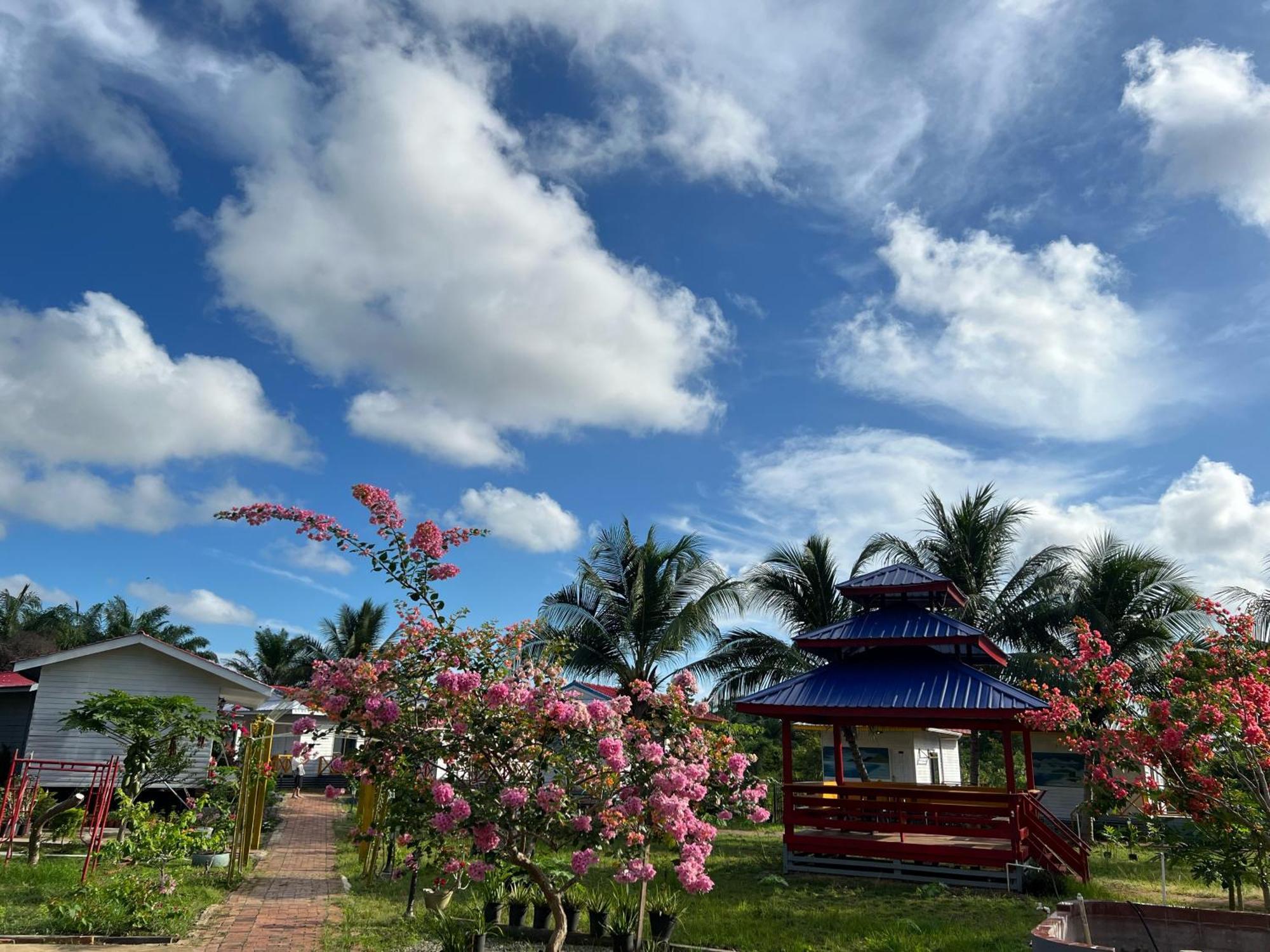 Shunde Palm Resort 仙本那顺德人家棕榈园 Bagian luar foto
