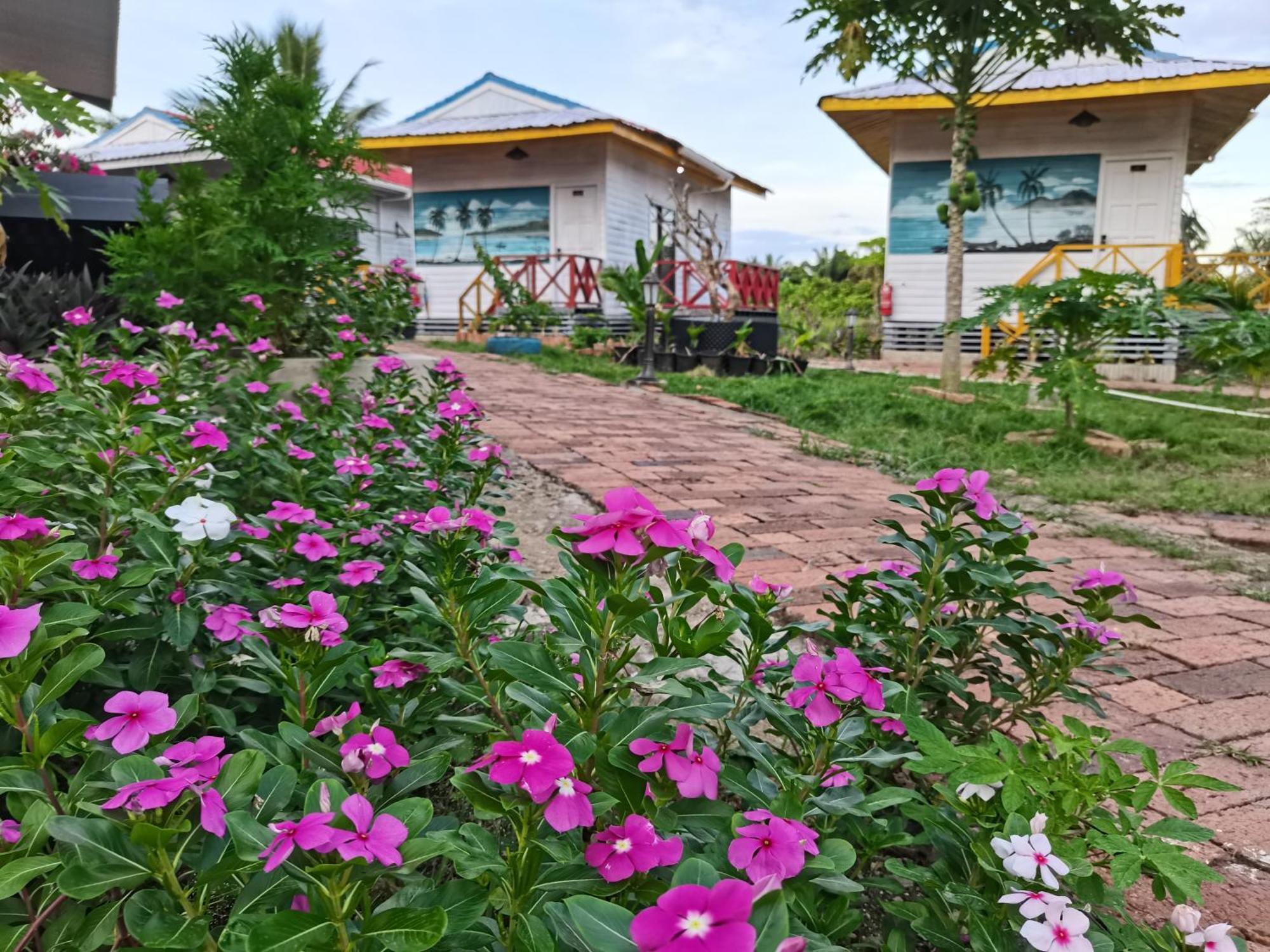 Shunde Palm Resort 仙本那顺德人家棕榈园 Bagian luar foto